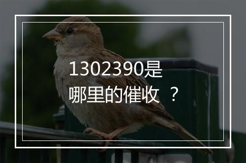 1302390是哪里的催收 ？