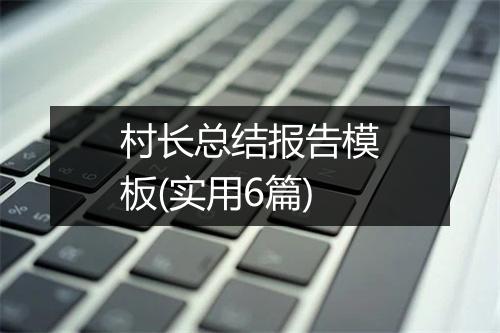 村长总结报告模板(实用6篇)