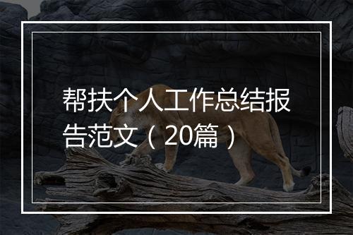 帮扶个人工作总结报告范文（20篇）