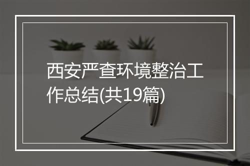 西安严查环境整治工作总结(共19篇)