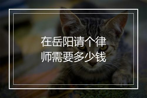 在岳阳请个律师需要多少钱