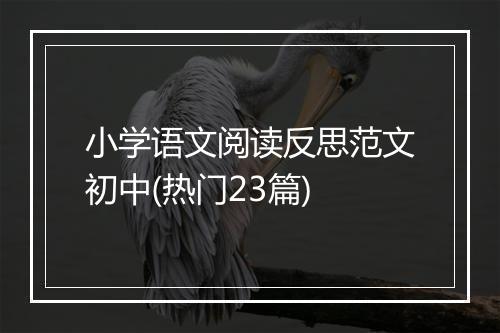 小学语文阅读反思范文初中(热门23篇)