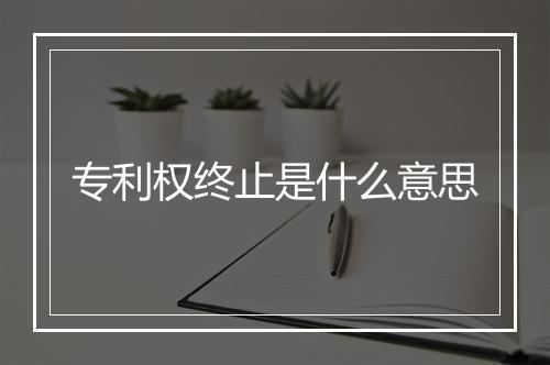 专利权终止是什么意思