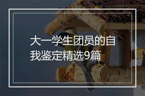 大一学生团员的自我鉴定精选9篇