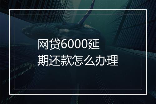 网贷6000延期还款怎么办理