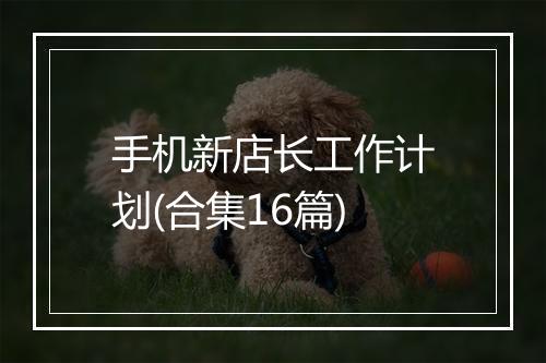 手机新店长工作计划(合集16篇)