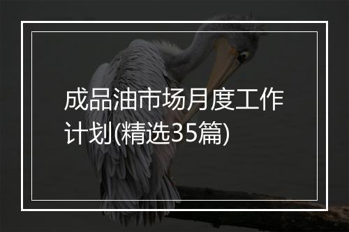 成品油市场月度工作计划(精选35篇)