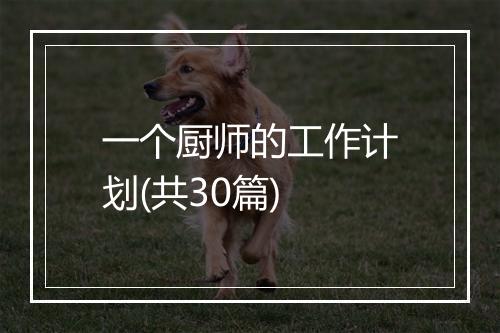 一个厨师的工作计划(共30篇)