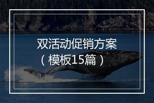 双活动促销方案（模板15篇）