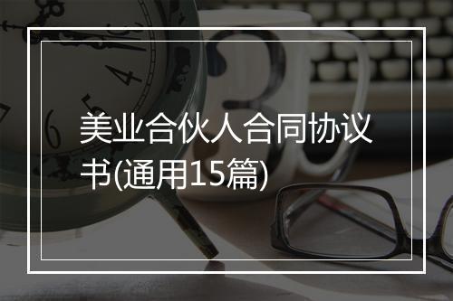 美业合伙人合同协议书(通用15篇)