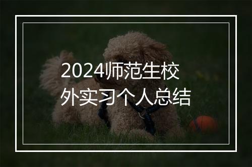 2024师范生校外实习个人总结