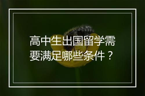 高中生出国留学需要满足哪些条件？
