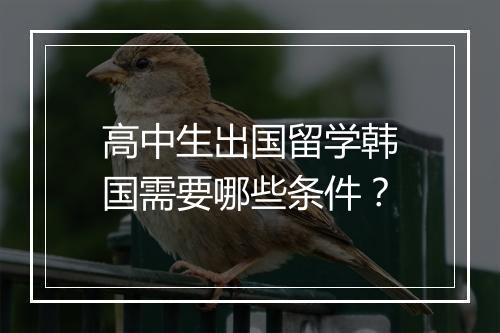 高中生出国留学韩国需要哪些条件？