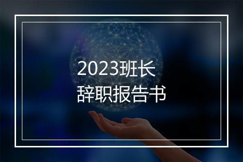 2023班长辞职报告书