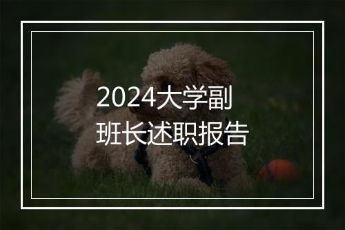 2024大学副班长述职报告