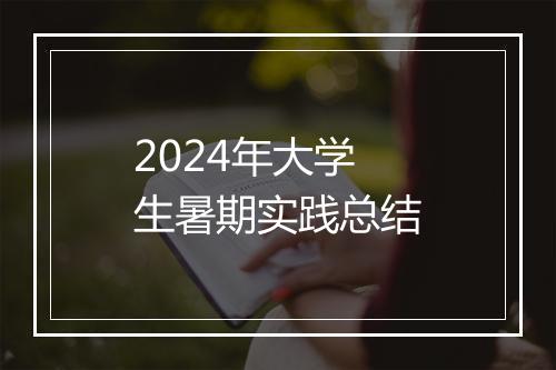 2024年大学生暑期实践总结