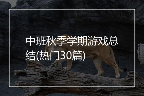 中班秋季学期游戏总结(热门30篇)