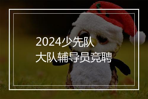 2024少先队大队辅导员竞聘