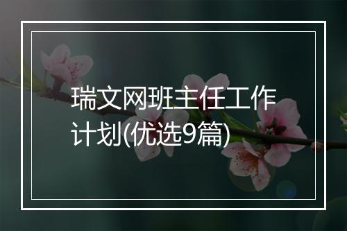 瑞文网班主任工作计划(优选9篇)