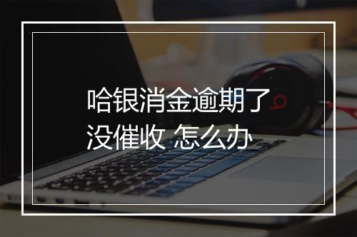 哈银消金逾期了没催收 怎么办