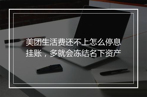 美团生活费还不上怎么停息挂账，多就会冻结名下资产