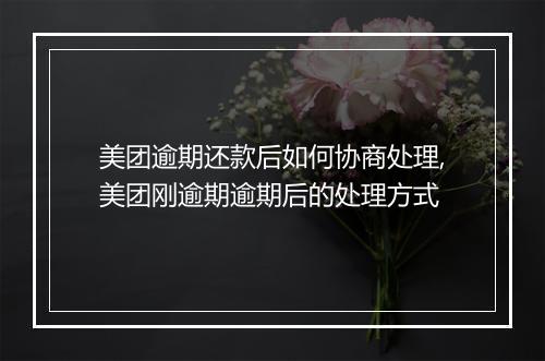 美团逾期还款后如何协商处理,美团刚逾期逾期后的处理方式