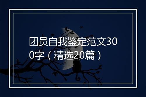 团员自我鉴定范文300字（精选20篇）