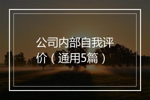 公司内部自我评价（通用5篇）