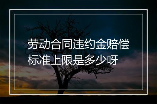 劳动合同违约金赔偿标准上限是多少呀
