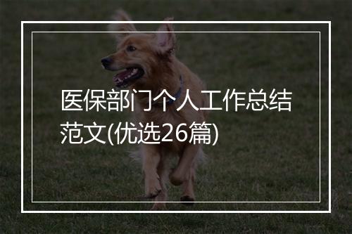 医保部门个人工作总结范文(优选26篇)
