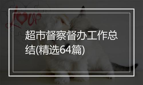 超市督察督办工作总结(精选64篇)