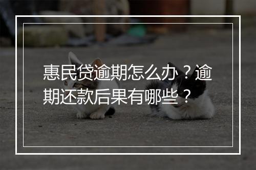 惠民贷逾期怎么办？逾期还款后果有哪些？