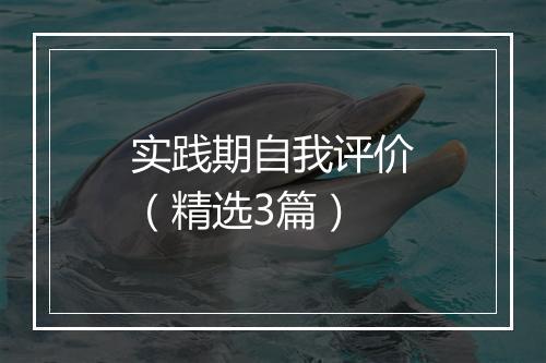 实践期自我评价（精选3篇）