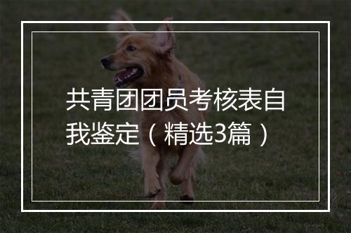 共青团团员考核表自我鉴定（精选3篇）
