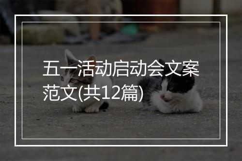 五一活动启动会文案范文(共12篇)