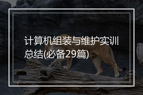 计算机组装与维护实训总结(必备29篇)