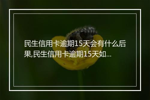 民生信用卡逾期15天会有什么后果,民生信用卡逾期15天如何解决