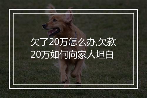 欠了20万怎么办,欠款20万如何向家人坦白