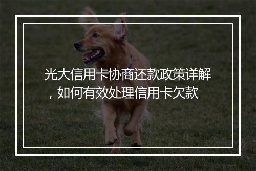 光大信用卡协商还款政策详解，如何有效处理信用卡欠款