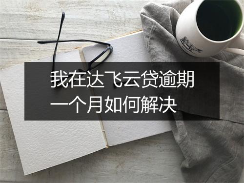 我在达飞云贷逾期一个月如何解决