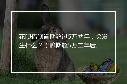 花呗借呗逾期超过5万两年，会发生什么？（逾期超5万二年后果解析）