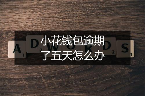 小花钱包逾期了五天怎么办
