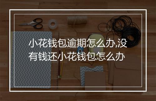 小花钱包逾期怎么办,没有钱还小花钱包怎么办