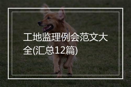 工地监理例会范文大全(汇总12篇)