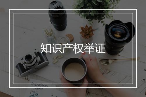 知识产权举证