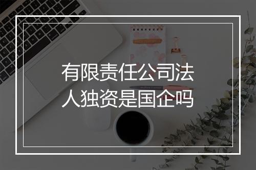 有限责任公司法人独资是国企吗
