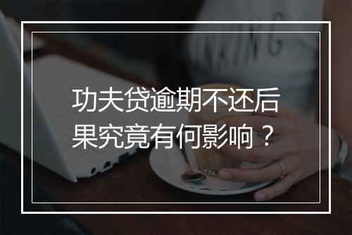 功夫贷逾期不还后果究竟有何影响？