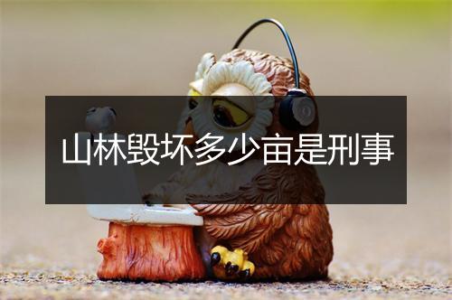 山林毁坏多少亩是刑事