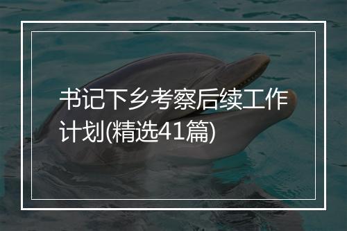 书记下乡考察后续工作计划(精选41篇)