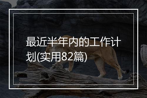 最近半年内的工作计划(实用82篇)